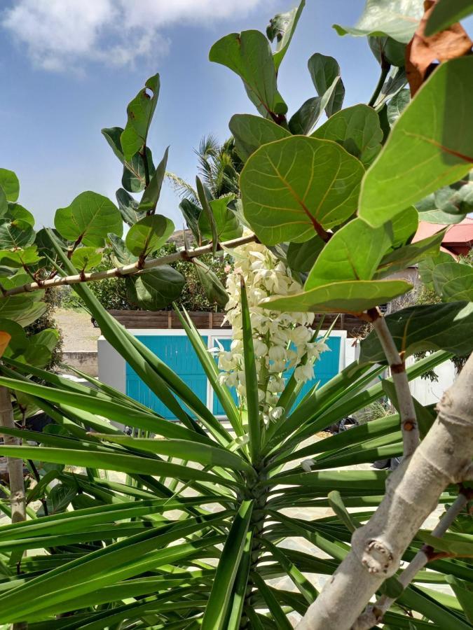 Tiko Lodge Sxm Quarter of Orleans المظهر الخارجي الصورة