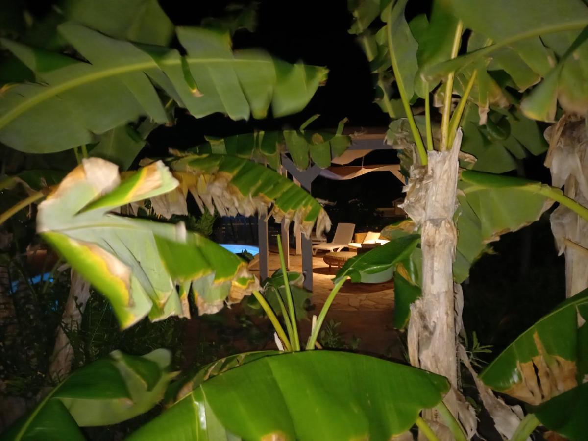 Tiko Lodge Sxm Quarter of Orleans المظهر الخارجي الصورة