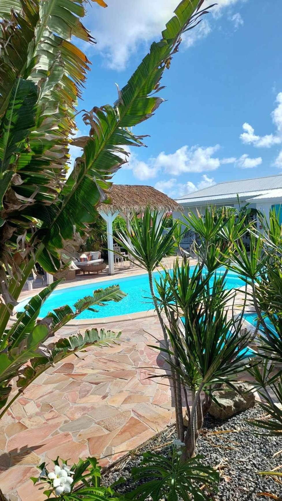Tiko Lodge Sxm Quarter of Orleans المظهر الخارجي الصورة